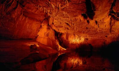 exposition-grotte-de-lascaux